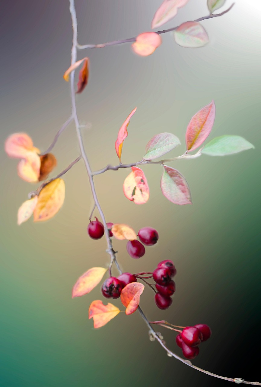 entdecken sie köstliche saisonale herbstrezepte mit frischen zutaten der saison – perfekt für gemütliche abende und herbstliche genussmomente.