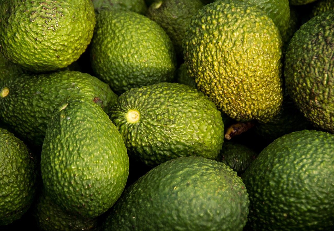 entdecken sie die kraft der superfoods: nährstoffreiche lebensmittel für gesundheit und wohlbefinden.