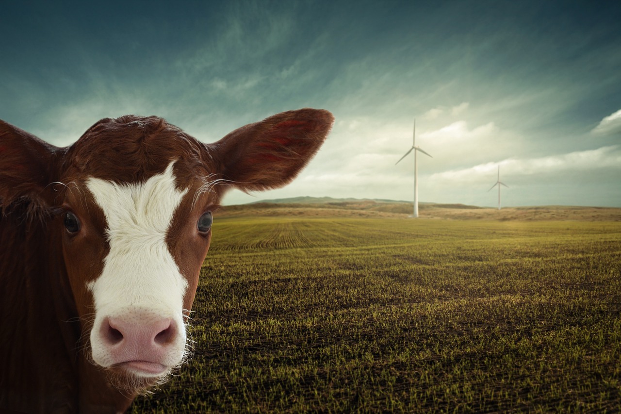 entdecken sie köstliche und nachhaltige vegane alternativen zu traditionellen lebensmitteln. gesunde, umweltfreundliche optionen für bewusste genießer.