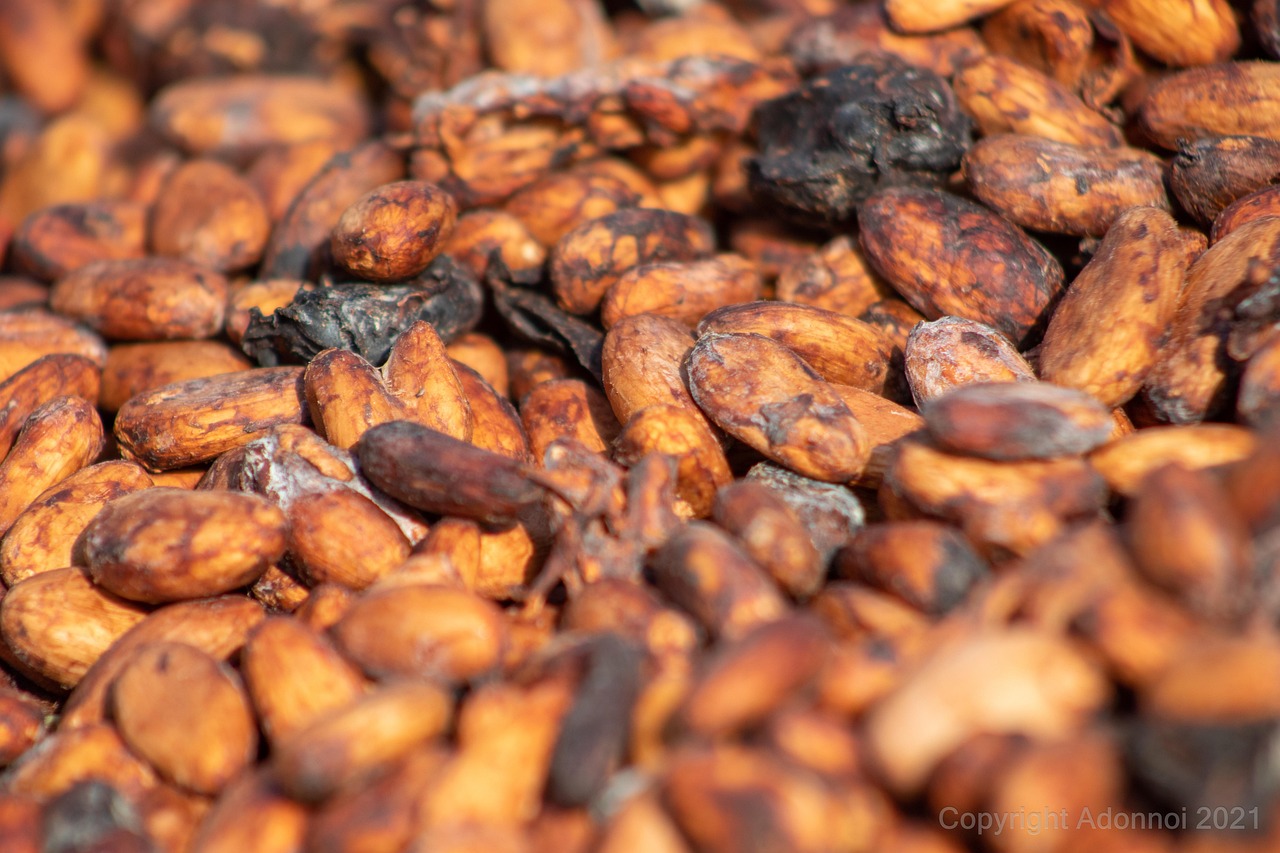 entdecken sie die faszinierende welt der fermentation: ein natürlicher prozess zur haltbarmachung und geschmacksentwicklung von lebensmitteln durch mikrobiellen abbau.