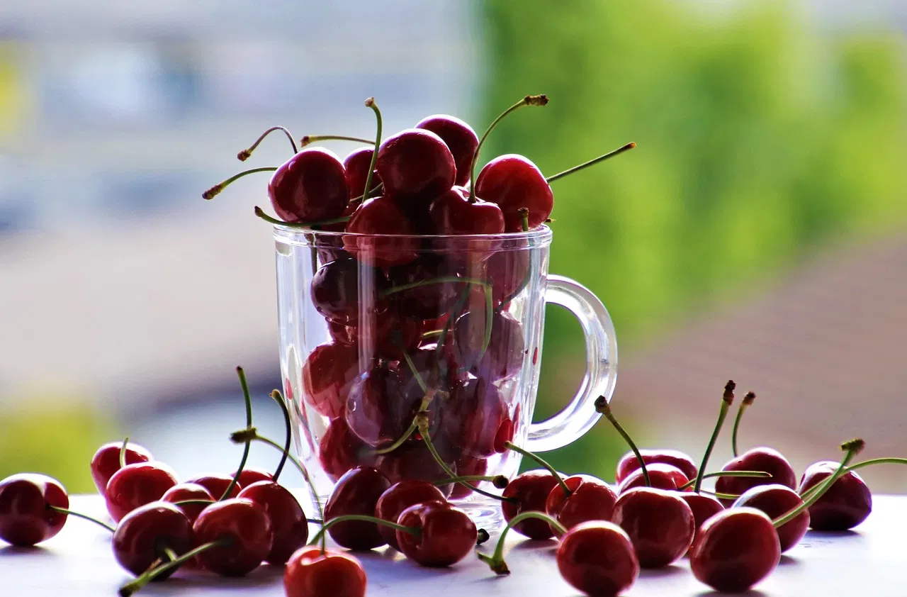 Wie kann man gesund abnehmen ohne Diät-Stress?